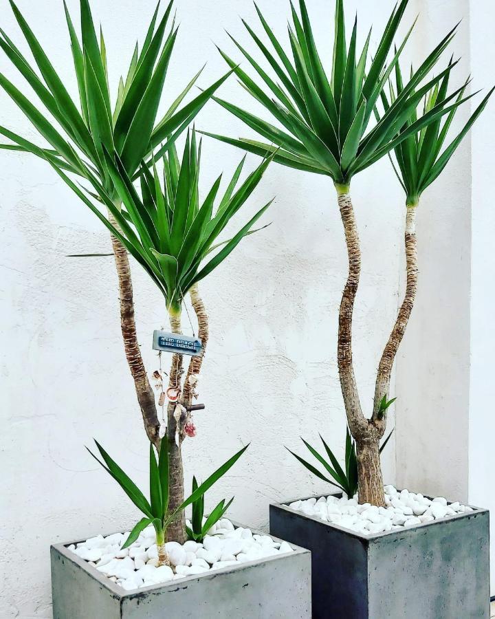 גראן אלקנט La Suite Del Mar מראה חיצוני תמונה